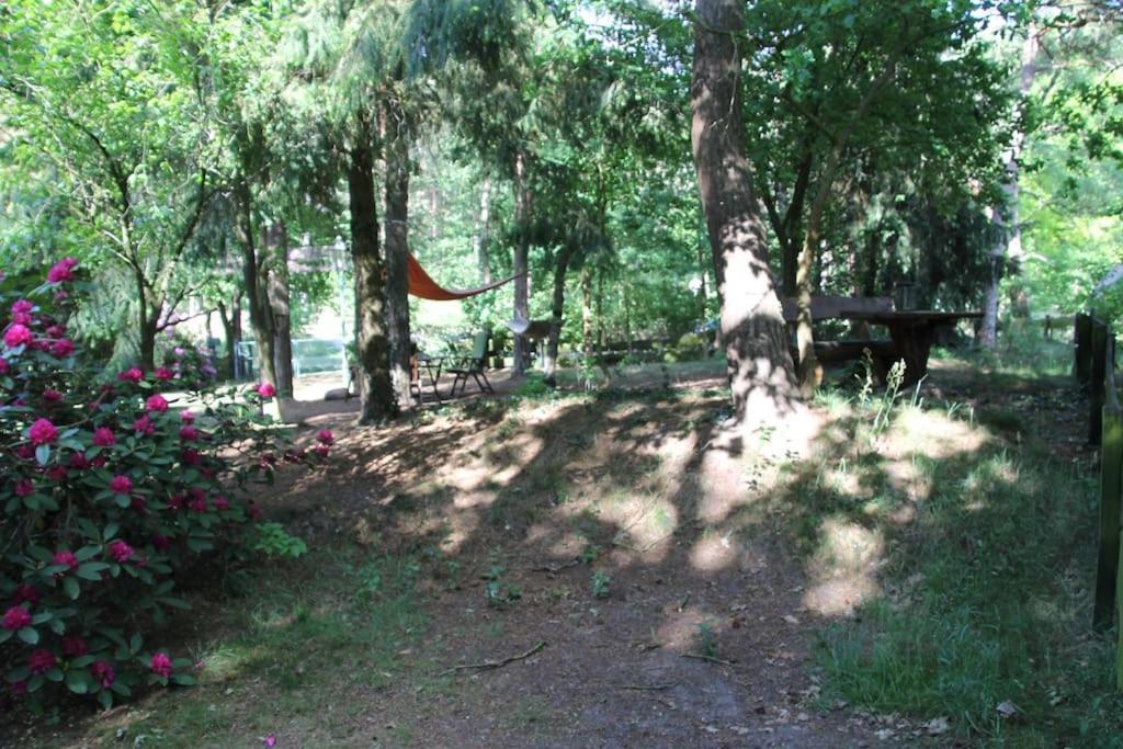 Ferienhaus Am Waldesrand Hatten Dış mekan fotoğraf