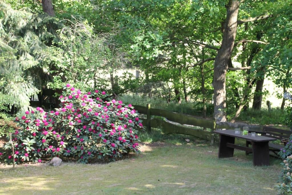 Ferienhaus Am Waldesrand Hatten Dış mekan fotoğraf