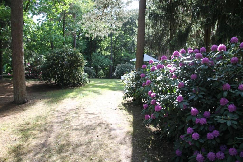 Ferienhaus Am Waldesrand Hatten Dış mekan fotoğraf
