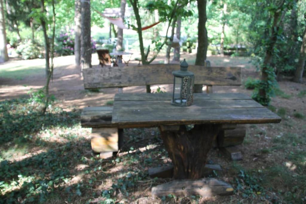 Ferienhaus Am Waldesrand Hatten Dış mekan fotoğraf