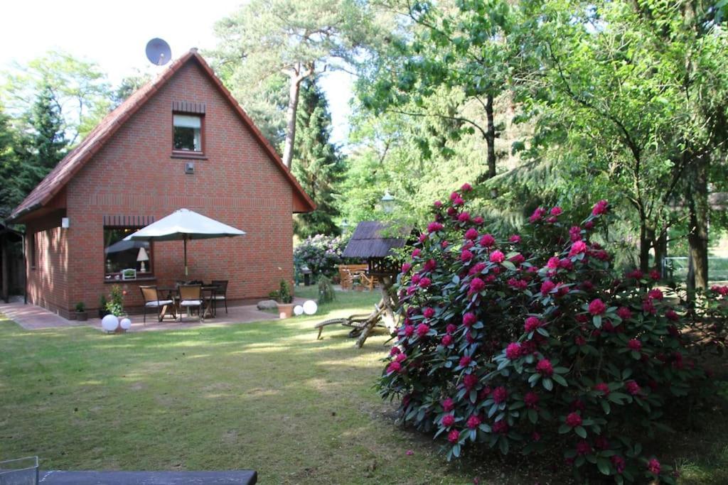 Ferienhaus Am Waldesrand Hatten Dış mekan fotoğraf